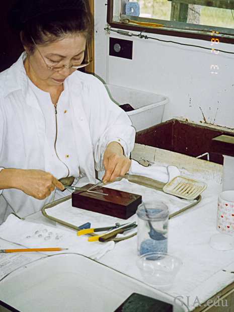 Woman cutting mantle tissue