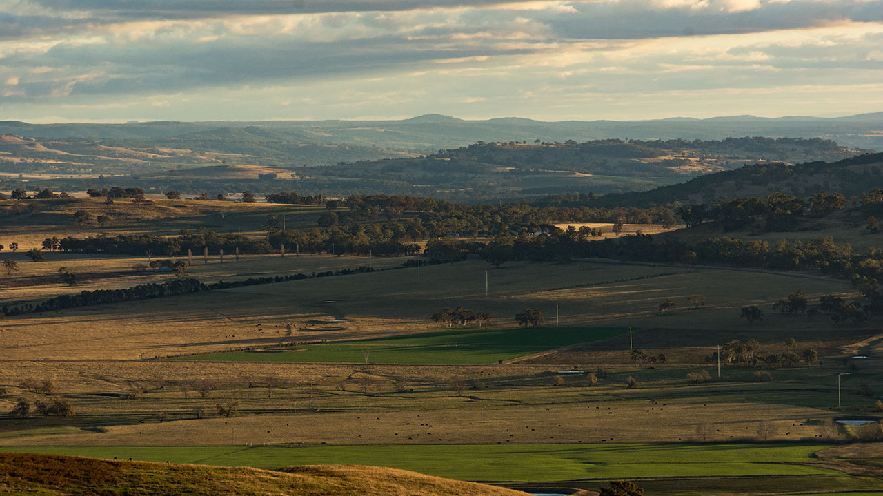 6_189111-1280x720.jpg. test