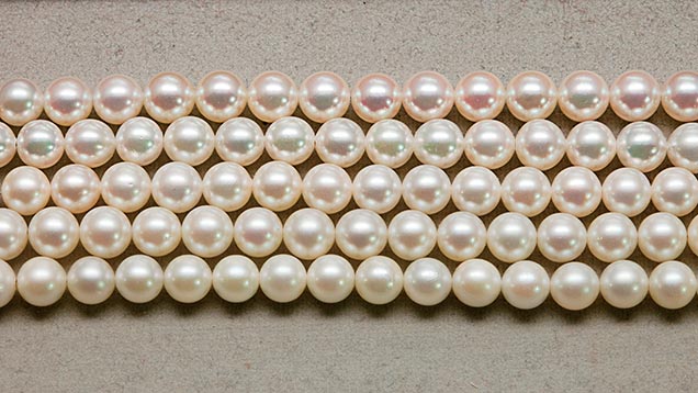 Japanese Saltwater Cultured Pearls Japanese Saltwater Cultured Pearls