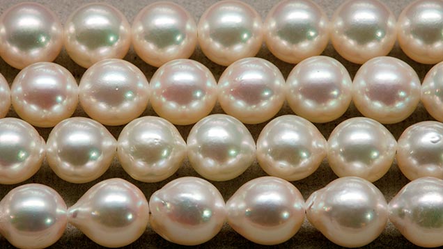 Japanese Saltwater Cultured Pearls Japanese Saltwater Cultured Pearls