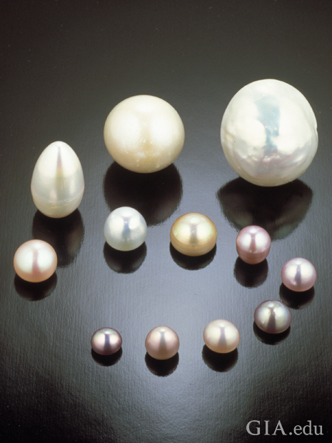 12 natural pearls of a range of sizes