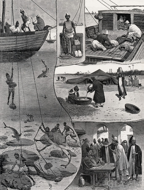 Drawing showing various scenes of ancient pearl diving techniques. Drawing showing various scenes of ancient pearl diving techniques.