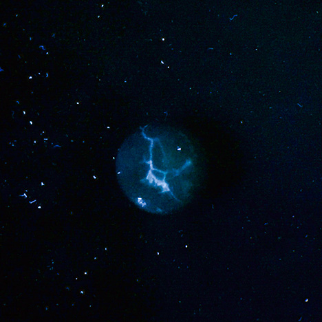 F15-GNI-Figure-26_1_191005-468x468.jpg. Lines and cavity fluoresce white under LWUV.