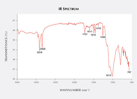 The IR spectrum shows three impregnation components. The IR spectrum shows three impregnation components.