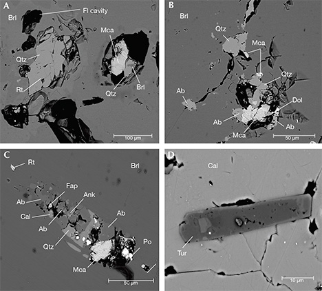 F15-Giuliani-Figure-23-Comp_190864-v2-468x422.jpg. SEM images of inclusions found in dendrites at the contact with trapiche emerald arms