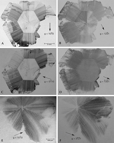 F15-Giuliani-Figure-24-Comp_190859-v2-468x590.jpg. X-ray topographic images of a trapiche emerald