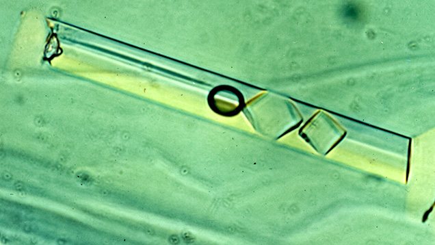 F15-Giuliani-Figure-3_190823-636x358.jpg. Multiphase fluid inclusion in emerald