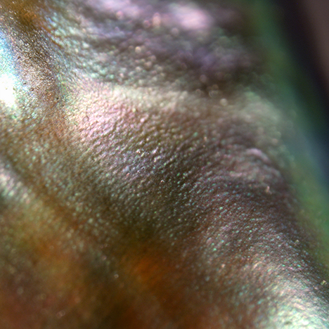 Photomicrograph showing color and subsurface structure.