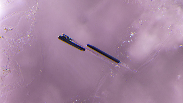 Dark needles in pezzottaite. Dark needles in pezzottaite.