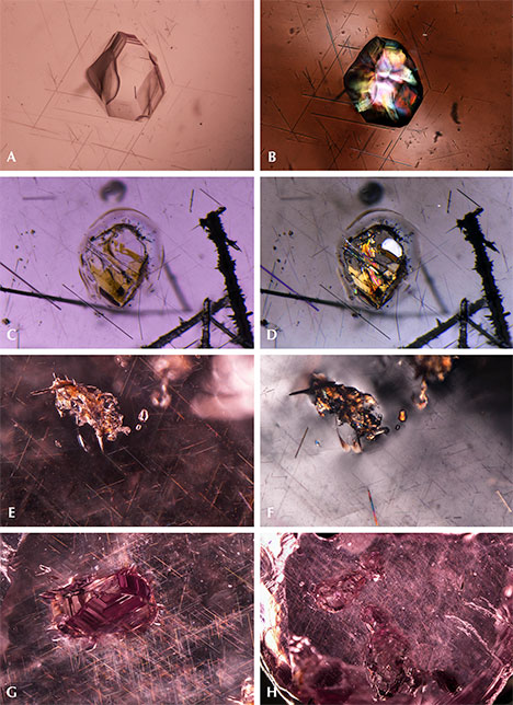 Quartz crystal inclusions in “color-change” pyrope garnet Quartz crystal inclusions in “color-change” pyrope garnet
