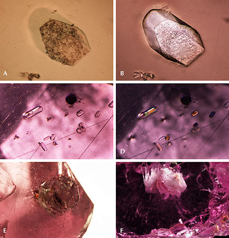 F15-Sun-Figure-5-Comp-v2_194365-468x487.jpg. Apatite and other phosphate minerals in “color-change” pyrope garnet