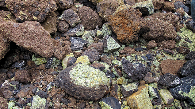 F16-Thuyet-fig2_208159-636x358.jpg. Peridot-bearing nodules from Vietnam