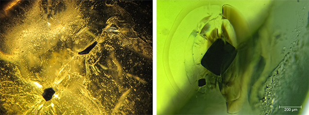 Crystal inclusions in peridot from Vietnam’s Central Highlands Crystal inclusions in peridot from Vietnam’s Central Highlands