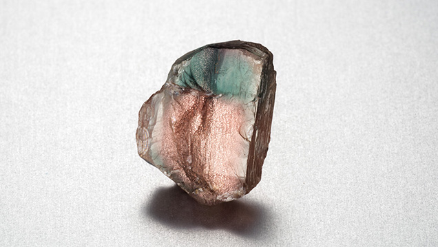 This 11.76-ct rough is a superb example of a bicolor gem. Photo by Robert Weldon. This 11.76-ct rough is a superb example of a bicolor gem. Photo by Robert Weldon.