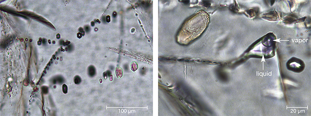 Inclusions in grandidierite from Tranomaro, Madagascar Inclusions in grandidierite from Tranomaro, Madagascar