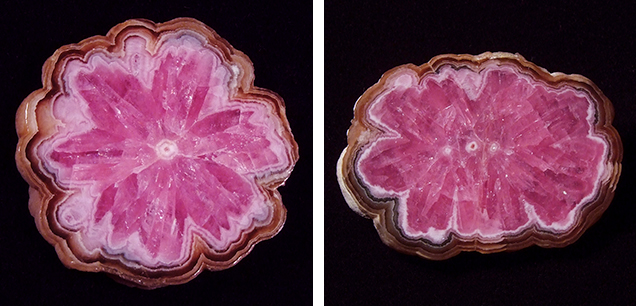 Trapiche-like rhodochrosite “flower” from Capillitas mine, Argentina Trapiche-like rhodochrosite “flower” from Capillitas mine, Argentina