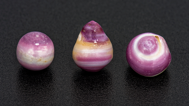 FA16-LN-Figure-12_207952-636x358.jpg. Purple and white non-nacreous pearls