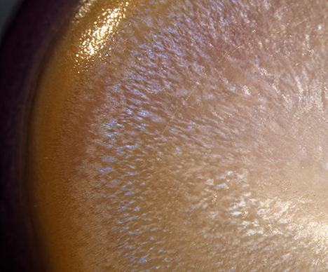 FA16-LN-Figure-13_207951-468x388.jpg. Characteristic blue reflective coloration of Spondylus pearls
