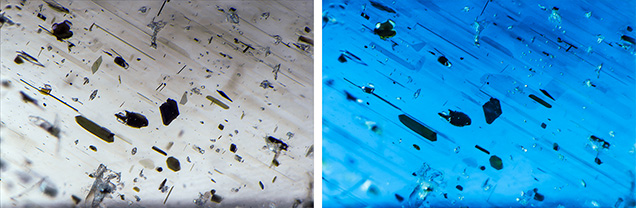 Needle and platelet inclusions as seen with transmitted light. Needle and platelet inclusions as seen with transmitted light.