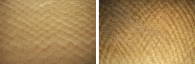 Schreger lines observed in elephant ivory (left) and mammoth ivory (right). Schreger lines observed in elephant ivory (left) and mammoth ivory (right).