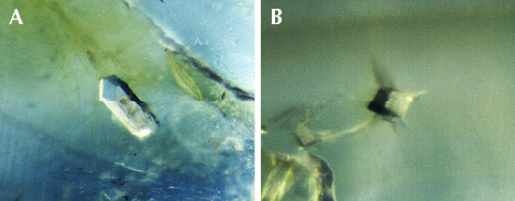 Inclusions in blue sapphires from Bo Welu