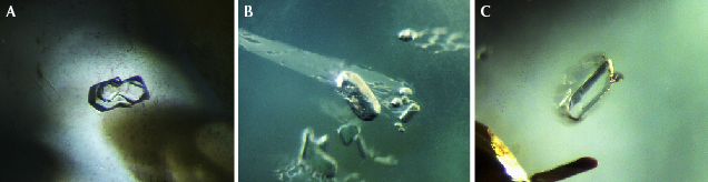 Inclusions in blue sapphires from Bo Welu
