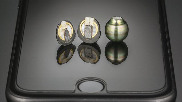 Pinctada Margaritifera bead cultured pearls, cut in half (left) and intact (right).