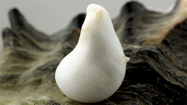 Non-nacreous pearl found in an edible oyster. Non-nacreous pearl found in an edible oyster.