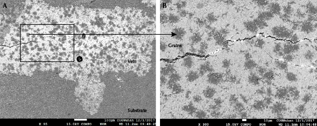 Backscattered electron imaging of grains in “raindrop” turquoise Backscattered electron imaging of grains in “raindrop” turquoise