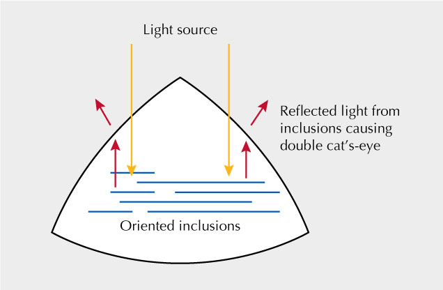 Diagram showing the cause of the double cat’s-eye. Diagram showing the cause of the double cat’s-eye.
