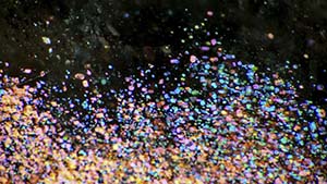 Fall 2021 Micro-World Banner Fall 2021 Micro-World Banner