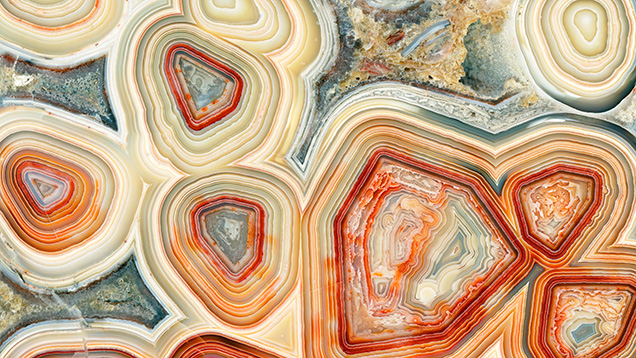Wallpaper featuring a scan of Mexican quartz agate decorates Level 4 of the San Diego Natural History Museum. Wallpaper featuring a scan of Mexican quartz agate decorates Level 4 of the San Diego Natural History Museum.