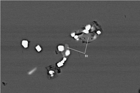 Figure 19. Zircon (white) associated with biotite (Bt; iron-rich phlogopite) in gem-quality cordierite from Blue Bear. Backscattered electron SEM image; field of view 120 μm.