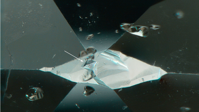 Figure 3. Tetragons (surface features restricted to the cubic crystal face) preserved at the culet of the diamond. Photomicrograph by Matthew Hardman; field of view 1.26 mm. Figure 3. Tetragons (surface features restricted to the cubic crystal face) preserved at the culet of the diamond. Photomicrograph by Matthew Hardman; field of view 1.26 mm.