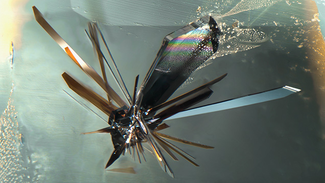 Bladed crystals of columbite radiate from a central point in colorless topaz. The mirror-like surfaces allow for reflections of neighboring blades, as seen in the top left crystal. Photomicrograph by Tyler Smith; field of view 2.90 mm. Bladed crystals of columbite radiate from a central point in colorless topaz. The mirror-like surfaces allow for reflections of neighboring blades, as seen in the top left crystal. Photomicrograph by Tyler Smith; field of view 2.90 mm.