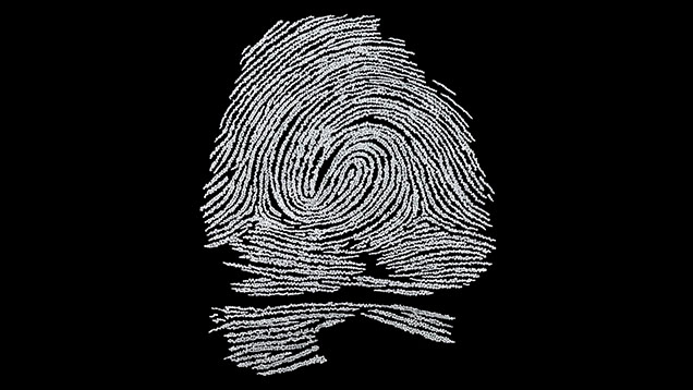 Figure 2. Johnathan Schultz’s “Out of the Darkness” contains 9,225 diamonds laid out in an artistic representation of Nelson Mandela’s fingerprint. The fingerprint measures approximately 20 × 15 in. (51 × 38 cm). Photo by Rhonda Wilson and Annie Haynes. Figure 2. Johnathan Schultz’s “Out of the Darkness” contains 9,225 diamonds laid out in an artistic representation of Nelson Mandela’s fingerprint. The fingerprint measures approximately 20 × 15 in. (51 × 38 cm). Photo by Rhonda Wilson and Annie Haynes.