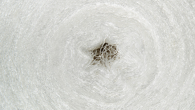 Figure 3. A cross section of a cotton pearl viewed perpendicular to the “drill hole.” Fine white fibers with a concentric layered structure were observed throughout the interior, resembling what was seen in the RTX image. Photomicrograph by Britni LeCroy; field of view 7.19 mm.