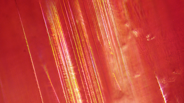 Figure 3. Iridescent growth tubes in pezzottaite with brightfield illumination. Photomicrograph by Taryn Linzmeyer; field of view 0.72 mm.