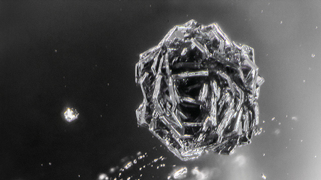 Figure 2. This opaque black hematite inclusion in one of the quartz spheres is composed of numerous platy inclusions arranged in the shape of a rose. Photomicrograph by Nathan Renfro; field of view 2.40 mm. Figure 2. This opaque black hematite inclusion in one of the quartz spheres is composed of numerous platy inclusions arranged in the shape of a rose. Photomicrograph by Nathan Renfro; field of view 2.40 mm.