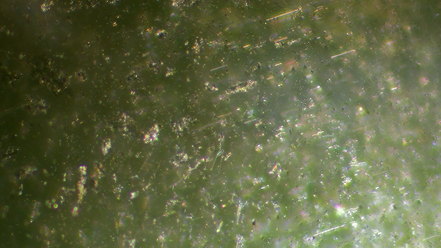 Figure 2. Short reflective needles create one of the four-rayed stars in the eight-rayed star peridot. Photomicrograph by Liviano Soprani; field of view 3 mm. Figure 2. Short reflective needles create one of the four-rayed stars in the eight-rayed star peridot. Photomicrograph by Liviano Soprani; field of view 3 mm.