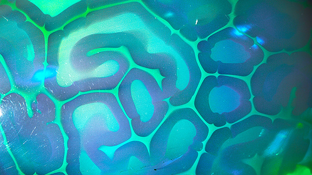 Figure 2. The turtle shell–like pattern of the natural opal as seen in oblique reflected light. Photomicrograph by Ungkhana Atikarnsakul; field of view 14.4 mm. Figure 2. The turtle shell–like pattern of the natural opal as seen in oblique reflected light. Photomicrograph by Ungkhana Atikarnsakul; field of view 14.4 mm.