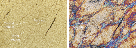 Figure 11. Microstructure of the interior of a pseudomorph with a vein net, inner region, and central domain (sample ELS27). Plane-polarized illumination (left) and cross-polarized illumination (right). Photomicrographs by Meiyu Shih; field of view 262 μm. Figure 11. Microstructure of the interior of a pseudomorph with a vein net, inner region, and central domain (sample ELS27). Plane-polarized illumination (left) and cross-polarized illumination (right). Photomicrographs by Meiyu Shih; field of view 262 μm.