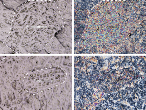 Four images labeled A, B, C, and D, showing structures identified as "Pseudomorph" with varying textures and colors. Four images labeled A, B, C, and D, showing structures identified as "Pseudomorph" with varying textures and colors.