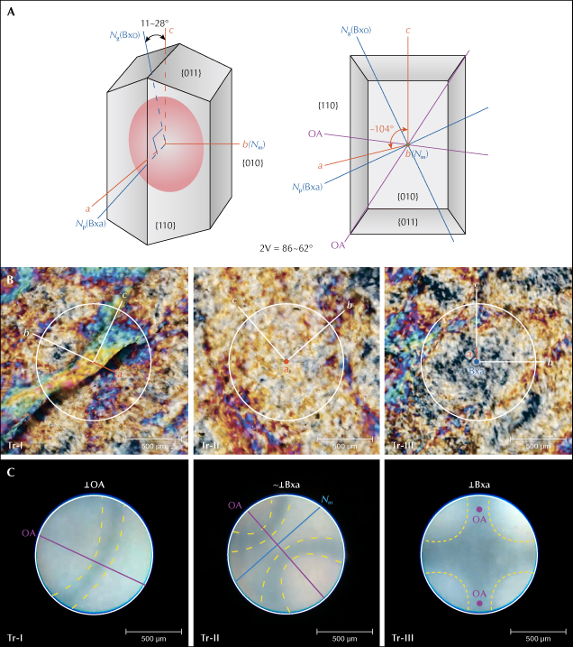 Diagrams and images illustrating crystallographic orientations and textures, with labeled axes and features. Scale bars included. Diagrams and images illustrating crystallographic orientations and textures, with labeled axes and features. Scale bars included.