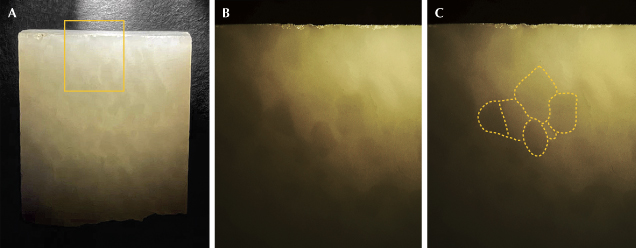 Figure 5. Nephrite sample ELS27 illuminated laterally by a flashlight. B is a magnified view of the area indicated by the rectangle in A, showing clearer contours of the grains, while C further outlines the grain shapes with yellow dashed lines. Photos by Meiyu Shih; fields of view 2.73 cm (A) and 0.774 mm (B and C). Figure 5. Nephrite sample ELS27 illuminated laterally by a flashlight. B is a magnified view of the area indicated by the rectangle in A, showing clearer contours of the grains, while C further outlines the grain shapes with yellow dashed lines. Photos by Meiyu Shih; fields of view 2.73 cm (A) and 0.774 mm (B and C).