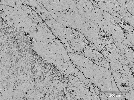 Figure 8. BSE image of Russian white nephrite sample ELS27. The similar contrast levels across the image indicate a nearly homogeneous chemical composition. Image by Qingqing Deng. Figure 8. BSE image of Russian white nephrite sample ELS27. The similar contrast levels across the image indicate a nearly homogeneous chemical composition. Image by Qingqing Deng.