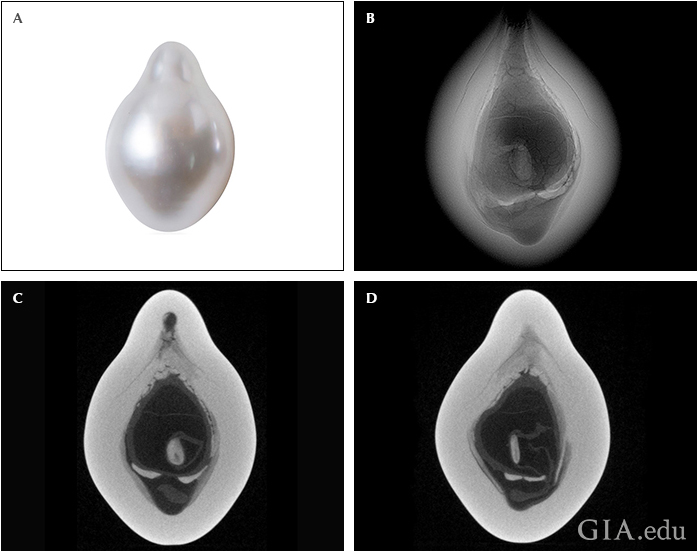 Fig10_720px_cc_w.png