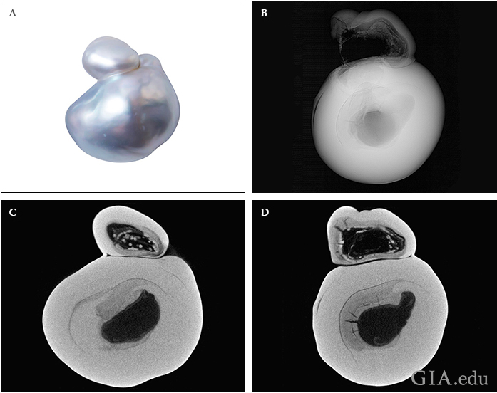 Fig13_720px_cc_w.png