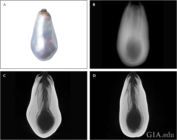 Fig14_720px_cc_w.png