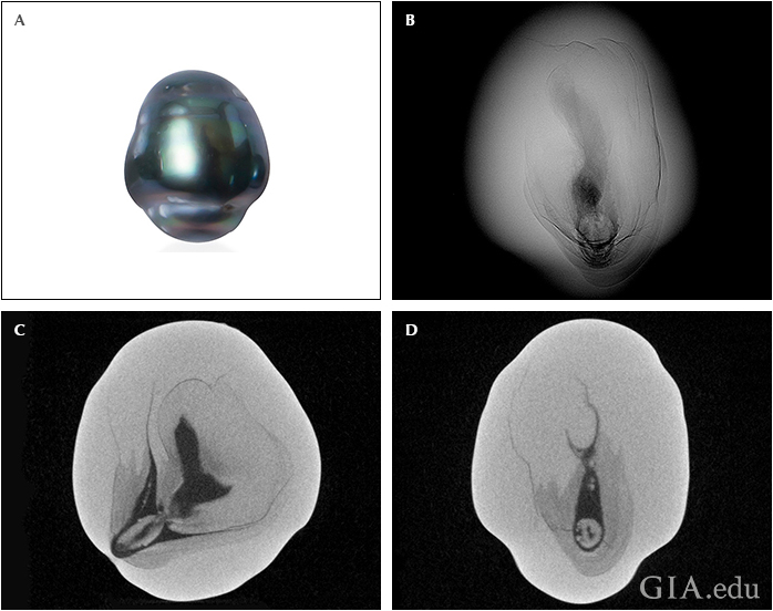 Fig17_720px_cc_w.png